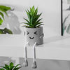 Zerzsy 3pcs Creative Artificial Succulents with Gray Flower Pots, Mini Potted Succulents for Home Decor and Gift Choice.