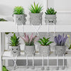 Zerzsy 3pcs Creative Artificial Succulents with Gray Flower Pots, Mini Potted Succulents for Home Decor and Gift Choice.