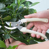 Garden Scissors Grafting Tool Fruit Tree Pruning