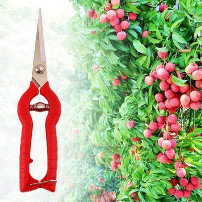 Plant Pruning Scissors Garden Cutter Flower