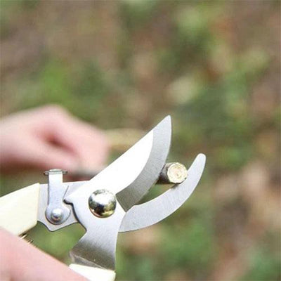 Garden Scissors Grafting Tool Fruit Tree Pruning