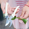 Garden Scissors Grafting Tool Fruit Tree Pruning