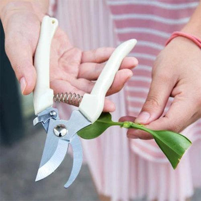 Garden Scissors Grafting Tool Fruit Tree Pruning