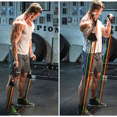 Full Body Workout at Home(11 Piece Set)