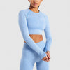 Women Seamless Yoga Set with Leggings and Cropped Long Sleeve Shirt