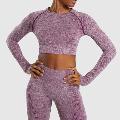 Women Seamless Yoga Set with Leggings and Cropped Long Sleeve Shirt