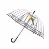 Transparent Umbrella Apollo Bird