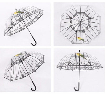 Transparent Umbrella Apollo Bird